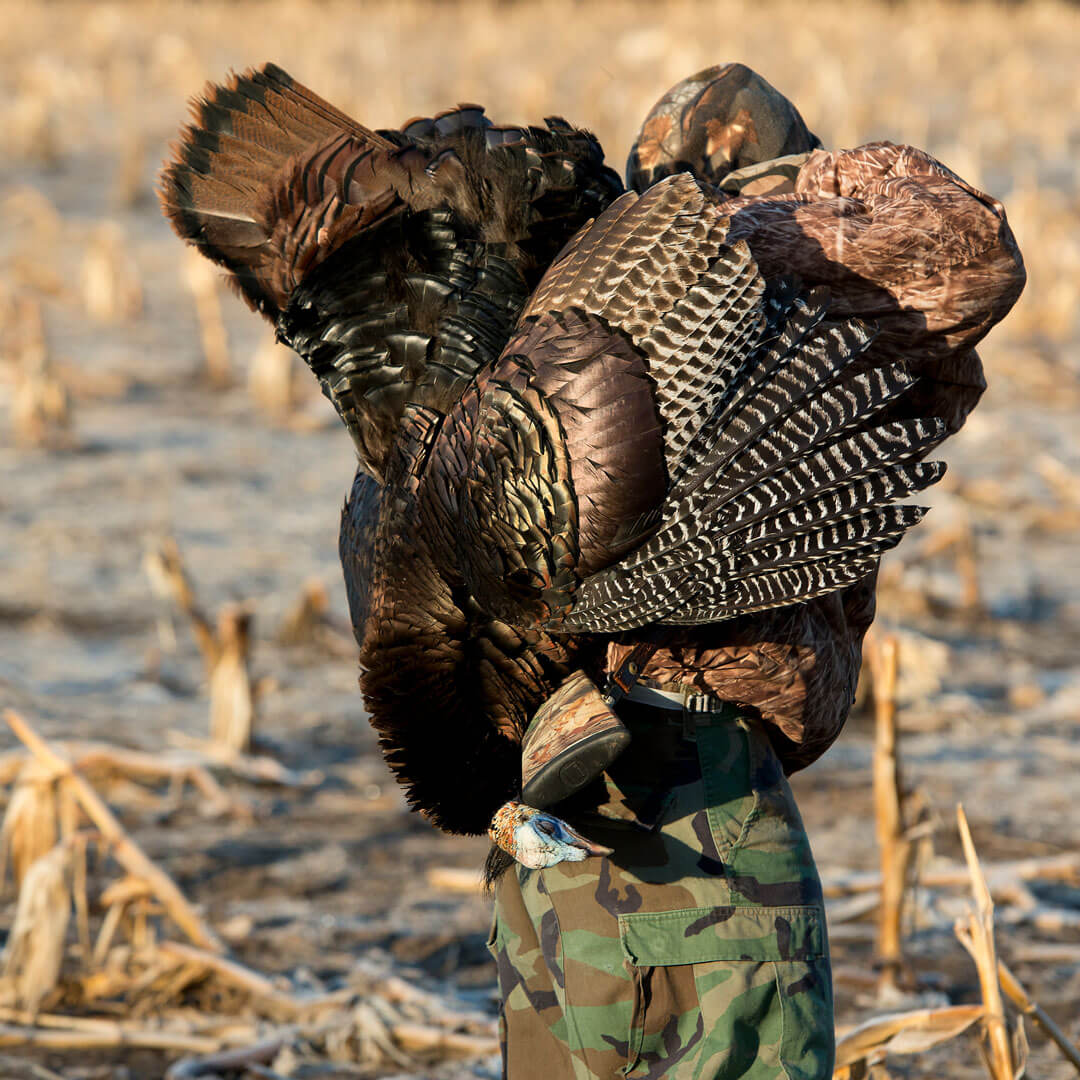 Turkey Hunter